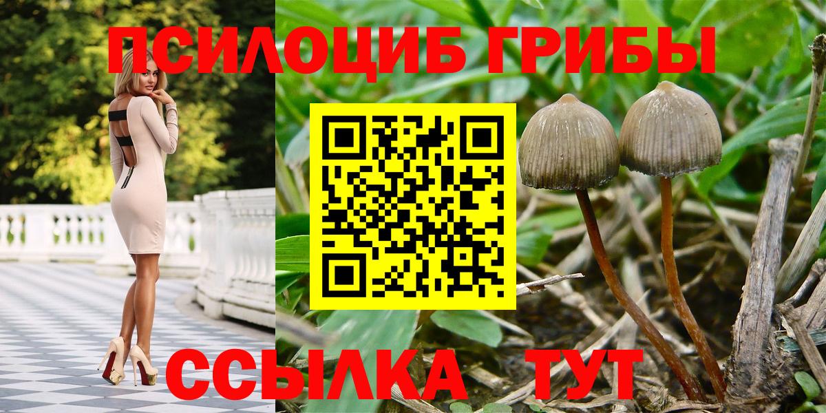 Псилоцибиновые грибы GOLDEN TEACHER  Псилоцибиновые грибы Cubensis  Вход с VPN  Дмитров 